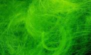 水草缸中藻类治理丝藻
