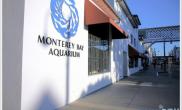 加利福尼亚MONTEREYBAYAQUARIUM水族馆