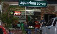 国外水族店水草缸造景AquariumCoOp
