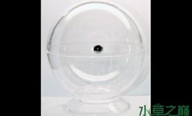 圆玻璃迷你小球器皿+水上叶造景水草缸精致美观更多可爱风味