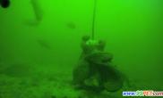 科学家遭遇神秘海盗章鱼偷走海底诱饵笼（多图）