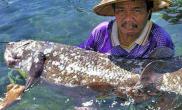 印尼渔民无意钓上石腔棘远古鱼（图）