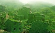 一个被绿色覆盖的美丽村庄