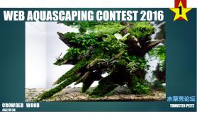 Web Aquascaping Contest 2016造景比赛