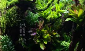 1米缸北京悦赏自然生态造景馆水景案例
