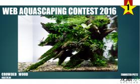 国外某造景比赛：Web Aquascaping Contest 2016[13P]